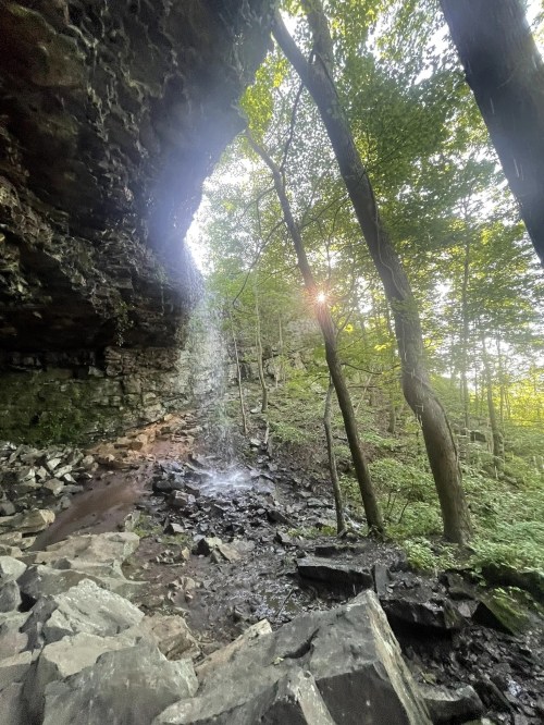 A serene forest scene with a waterfall cascading from a rocky overhang, surrounded by lush green trees and sunlight.