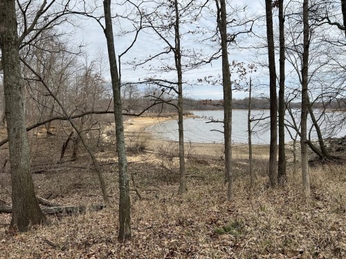 A serene lakeside view through bare trees, with a sandy shore and calm water under a cloudy sky.