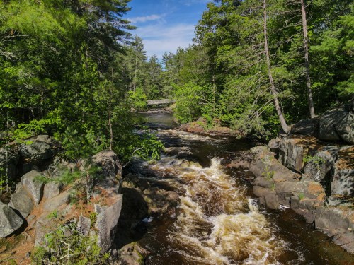 A serene river flows through a lush green forest, surrounded by rocks and trees under a clear blue sky.