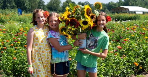 Three smiling young girls holding a large, colorful bouquet of sunflowers in a flower field.
