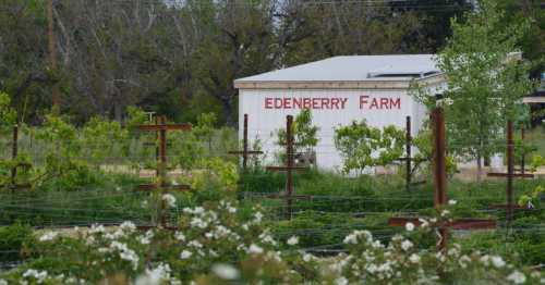 A farm building labeled "Edenberry Farm" surrounded by green vines and flowering plants.