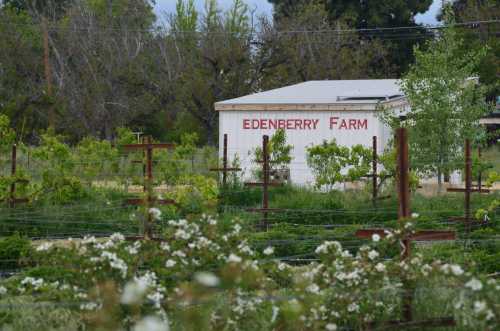 A farm with the sign "Edenberry Farm" surrounded by greenery and flowering plants.