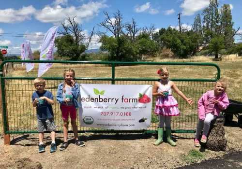 Four children stand by a green fence with a sign for Edenberry Farm, enjoying treats on a sunny day.