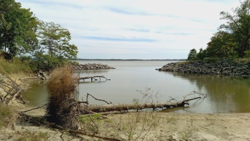 A calm river scene with fallen trees, sandy banks, and rocky shorelines under a cloudy sky.