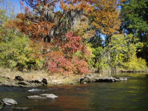 A serene riverbank scene with colorful autumn foliage and rocks along the water's edge.