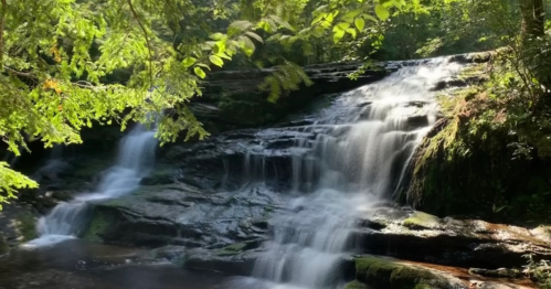 A serene waterfall cascades over rocks, surrounded by lush green foliage in a tranquil forest setting.