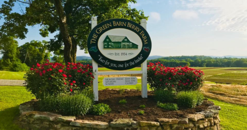 Sign for The Green Barn Berry Farm, established 1984, surrounded by blooming flowers and scenic farmland.