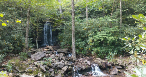 A serene waterfall cascades over rocks, surrounded by lush green trees and foliage in a tranquil forest setting.