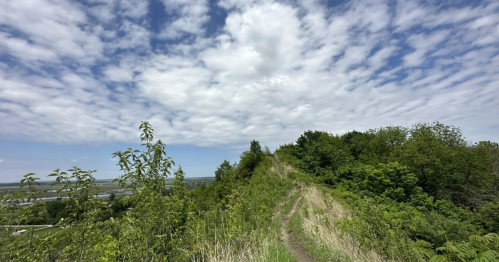 A scenic view of a grassy hilltop surrounded by lush greenery and a blue sky with scattered clouds.