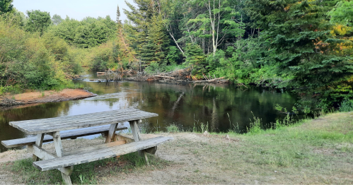A wooden picnic table by a calm river, surrounded by lush greenery and trees.