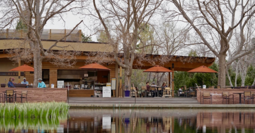 A lakeside café with outdoor seating and orange umbrellas, surrounded by bare trees and reflecting in the water.