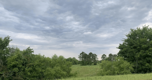 A grassy field surrounded by trees under a cloudy sky.