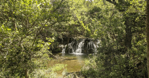 A serene waterfall surrounded by lush green trees and foliage, reflecting a peaceful natural setting.