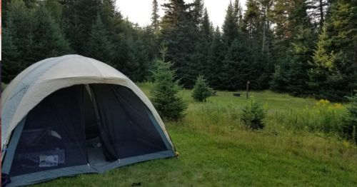A tent set up in a grassy area surrounded by tall trees and a clear sky.