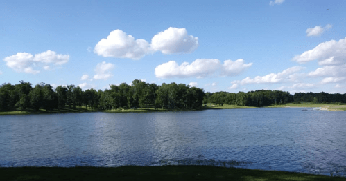 A serene lake surrounded by lush green trees under a blue sky with fluffy white clouds.