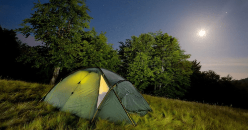 A green tent illuminated at night, surrounded by trees under a starry sky and a bright moon.