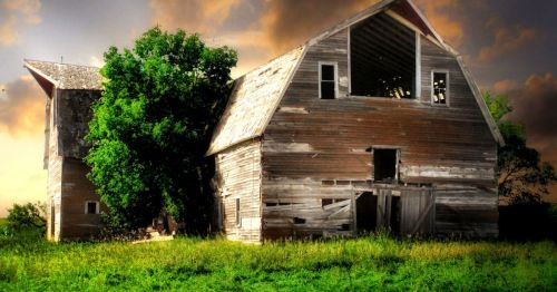 A weathered barn surrounded by tall grass and a large tree, set against a dramatic sky at sunset.