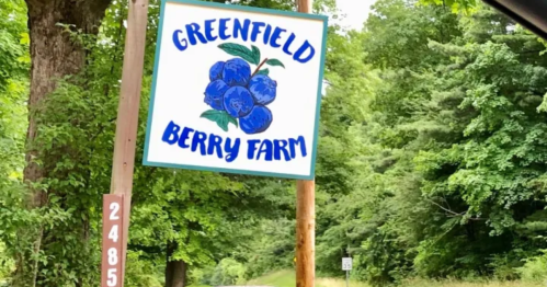 Sign for Greenfield Berry Farm featuring a blue berry illustration, surrounded by lush green trees.