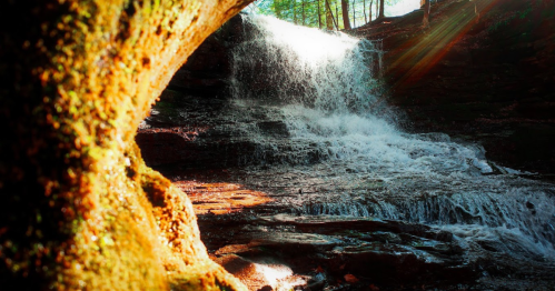 A serene waterfall cascades over rocks, surrounded by lush greenery and dappled sunlight filtering through the trees.