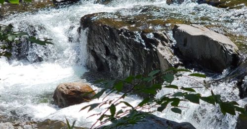 A flowing river cascades over rocks, surrounded by greenery and sunlight reflecting on the water's surface.
