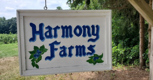 A wooden sign reading "Harmony Farms" with blue lettering and green floral accents, set against a natural background.