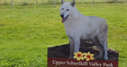 A life-sized wolf statue stands on a grassy area near a sign for Upper Schuylkill Valley Park.