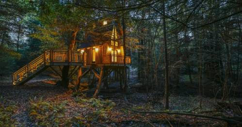 A cozy treehouse illuminated at dusk, surrounded by dense forest and autumn foliage.