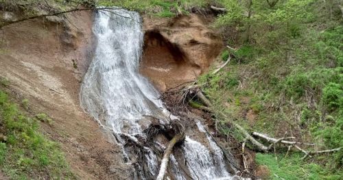 A cascading waterfall flows down a rocky slope, surrounded by lush greenery and fallen tree branches.