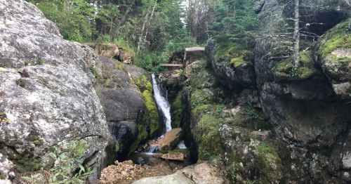 A serene waterfall cascades between moss-covered rocks in a lush, green forest.
