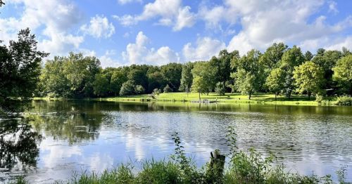 A serene lake surrounded by lush green trees and a blue sky with fluffy clouds reflecting on the water's surface.