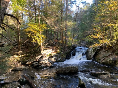 A serene forest scene featuring a flowing waterfall surrounded by rocks and autumn foliage.