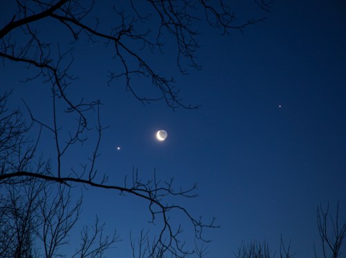 A crescent moon and bright stars shine in a deep blue night sky, framed by bare tree branches.