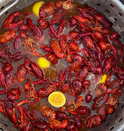 A pot filled with cooked red crawfish and slices of lemon in a flavorful broth.