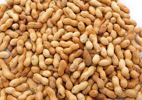 A close-up of a pile of unshelled peanuts with a light brown, textured surface.