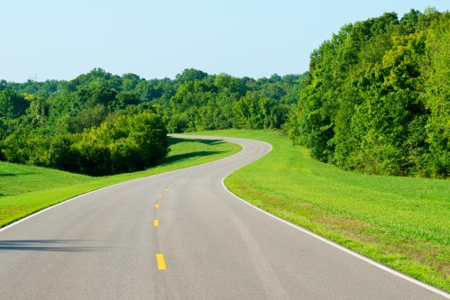 A winding road surrounded by lush green trees and grass under a clear blue sky.