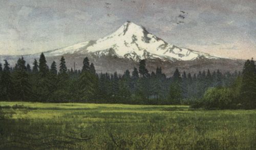 A snow-capped mountain rises above a lush green meadow, surrounded by tall evergreen trees under a cloudy sky.
