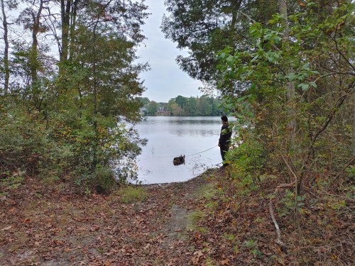 A person walks a dog by a calm lake, surrounded by trees and autumn leaves.