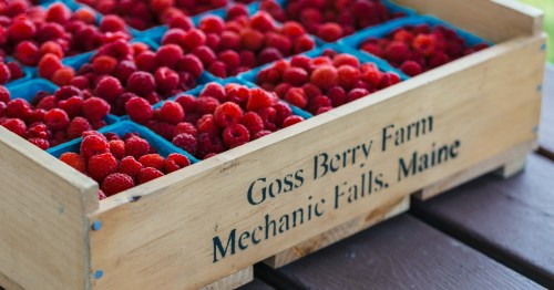 A wooden crate stamped with words Goss Berry Farm, filled with boxes of fresh raspberries.