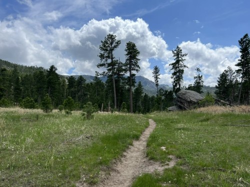 A winding dirt path through a grassy area, surrounded by tall trees and mountains under a partly cloudy sky.