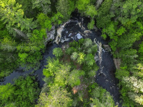 Aerial view of a lush green forest with a winding river and rocky areas visible among the trees.