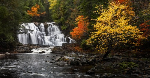 Houston Brook Falls surrounded by Autumn foliage.