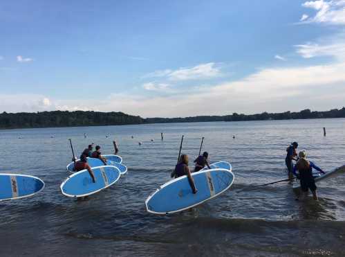 A group of people carrying paddleboards into a calm lake under a clear blue sky.