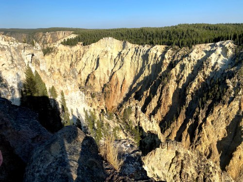 A scenic view of a rugged canyon with steep cliffs and dense pine forests under a clear blue sky.