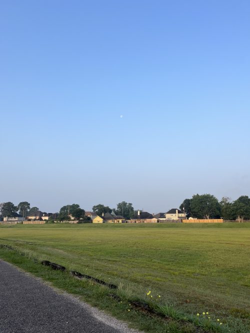 A clear blue sky over a grassy field, with houses in the background and a small moon visible.