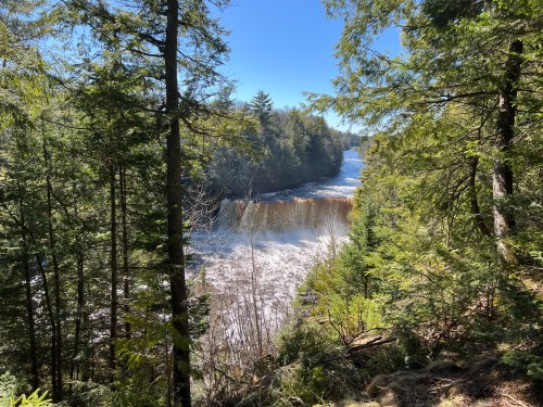 A serene river flows through a lush forest, with trees lining the banks under a clear blue sky.