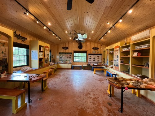 Interior of a wooden exhibit space with tables displaying educational materials and natural history items.