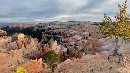 A panoramic view of colorful rock formations and pine trees in a canyon under a cloudy sky.