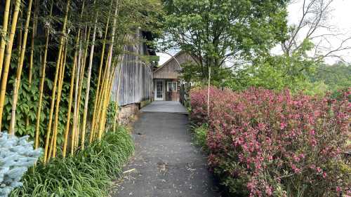 A pathway lined with bamboo and flowering bushes leads to a rustic building surrounded by greenery.