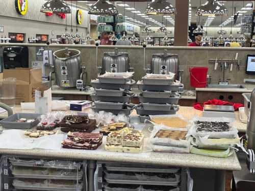 A countertop filled with various trays of desserts and treats, with containers and utensils in a store setting.