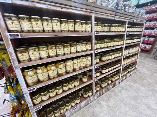 A store shelf filled with jars of various products, neatly arranged in rows.